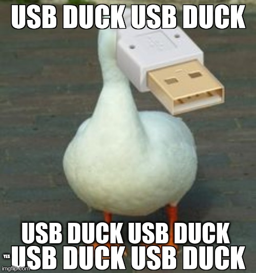 yes | USB DUCK USB DUCK; YES | image tagged in duck | made w/ Imgflip meme maker