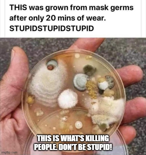 DON'T BE STUPID | THIS IS WHAT'S KILLING PEOPLE. DON'T BE STUPID! | image tagged in stupid,stupid people,special kind of stupid | made w/ Imgflip meme maker