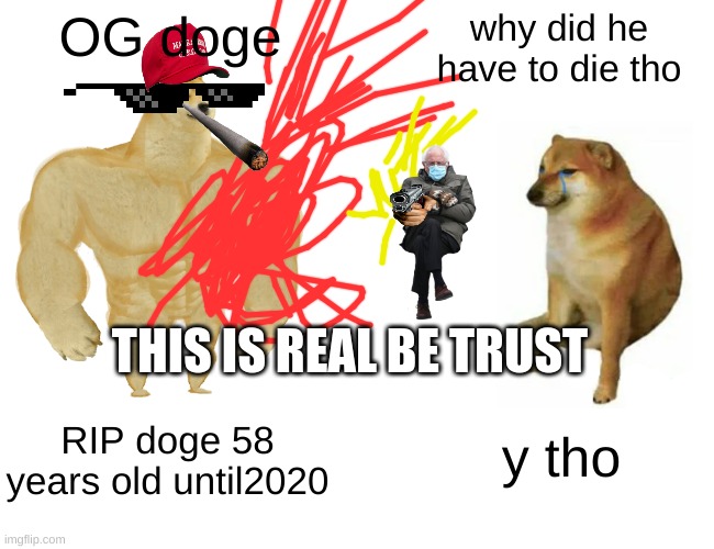 Buff Doge vs. Cheems Meme | OG doge; why did he have to die tho; THIS IS REAL BE TRUST; y tho; RIP doge 58 years old until2020 | image tagged in memes,buff doge vs cheems | made w/ Imgflip meme maker