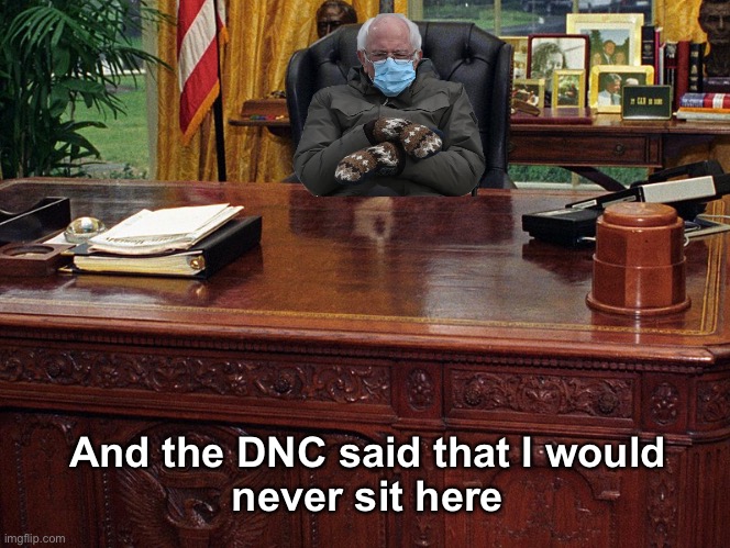 Can’t keep a 79 year old Socialist down forever | And the DNC said that I would
 never sit here | image tagged in socks the clinton's cat at at the resolute desk,bernie sanders | made w/ Imgflip meme maker