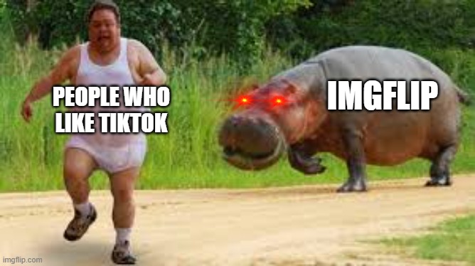 hippos boi | PEOPLE WHO LIKE TIKTOK; IMGFLIP | image tagged in hippo | made w/ Imgflip meme maker