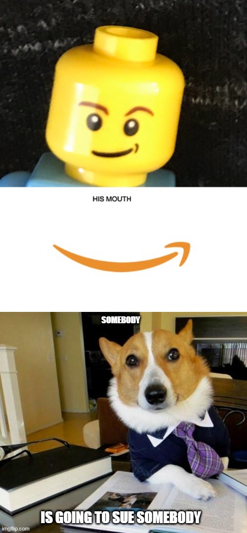 Bow & Wow (law firm) | SOMEBODY; IS GOING TO SUE SOMEBODY | image tagged in lawyer corgi dog,amazon,lego,dog,lawyer,lawsuit | made w/ Imgflip meme maker