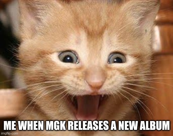 Excited Cat Meme | ME WHEN MGK RELEASES A NEW ALBUM | image tagged in memes,excited cat | made w/ Imgflip meme maker