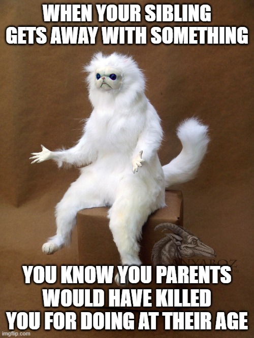 Persian Cat Room Guardian Single Meme | WHEN YOUR SIBLING GETS AWAY WITH SOMETHING; YOU KNOW YOU PARENTS WOULD HAVE KILLED YOU FOR DOING AT THEIR AGE | image tagged in memes,persian cat room guardian single | made w/ Imgflip meme maker