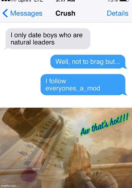 Everyones_a_mod: where everyone is a natural leader | image tagged in aw that s hot,funny,memes,texting,hot,text | made w/ Imgflip meme maker