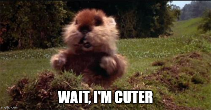 Caddy Shack Gopher | WAIT, I'M CUTER | image tagged in caddy shack gopher | made w/ Imgflip meme maker