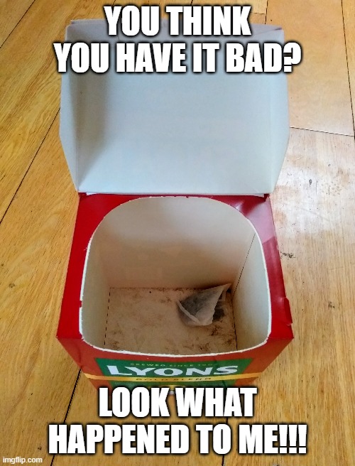 You think you have it bad? | YOU THINK YOU HAVE IT BAD? LOOK WHAT HAPPENED TO ME!!! | image tagged in first world problems | made w/ Imgflip meme maker