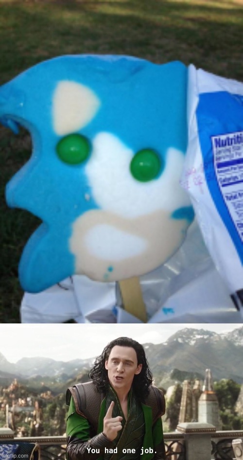 This is cursed... | image tagged in you had one job,memes,bruh,sonic | made w/ Imgflip meme maker