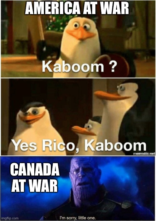 AMERICA AT WAR; CANADA AT WAR | image tagged in kaboom yes rico kaboom,thanos i'm sorry little one | made w/ Imgflip meme maker