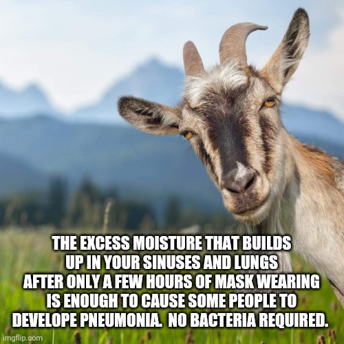 creepy condescending goat | THE EXCESS MOISTURE THAT BUILDS UP IN YOUR SINUSES AND LUNGS AFTER ONLY A FEW HOURS OF MASK WEARING IS ENOUGH TO CAUSE SOME PEOPLE TO DEVELO | image tagged in creepy condescending goat | made w/ Imgflip meme maker