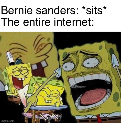 Bernie sanders: *sits*
The entire internet: | image tagged in memes | made w/ Imgflip meme maker