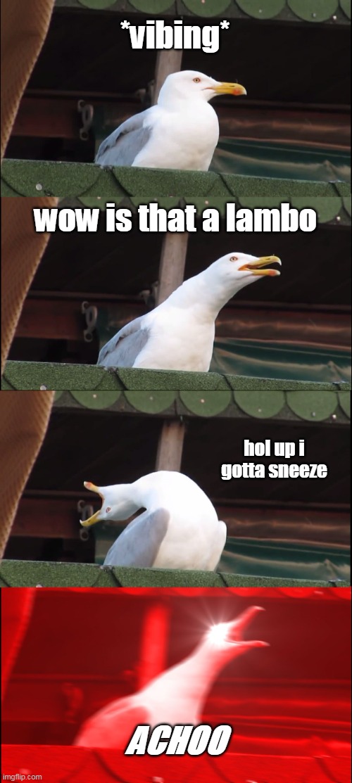 cool a lambo | *vibing*; wow is that a lambo; hol up i gotta sneeze; ACHOO | image tagged in memes,inhaling seagull | made w/ Imgflip meme maker