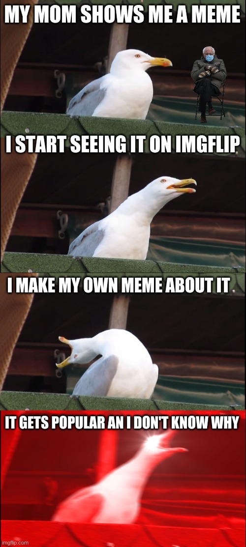 Why is this meme so popular? | MY MOM SHOWS ME A MEME; I START SEEING IT ON IMGFLIP; I MAKE MY OWN MEME ABOUT IT; IT GETS POPULAR AN I DON'T KNOW WHY | image tagged in memes,inhaling seagull,bernie sanders,why | made w/ Imgflip meme maker