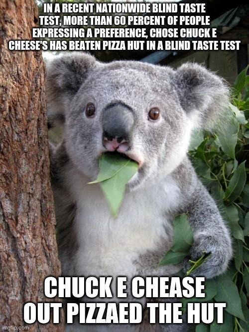 Surprised Koala |  IN A RECENT NATIONWIDE BLIND TASTE TEST, MORE THAN 60 PERCENT OF PEOPLE EXPRESSING A PREFERENCE, CHOSE CHUCK E CHEESE'S HAS BEATEN PIZZA HUT IN A BLIND TASTE TEST; CHUCK E CHEASE OUT PIZZAED THE HUT | image tagged in memes,surprised koala | made w/ Imgflip meme maker