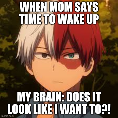 Todoroki is like me | WHEN MOM SAYS TIME TO WAKE UP; MY BRAIN: DOES IT LOOK LIKE I WANT TO?! | image tagged in that would be great | made w/ Imgflip meme maker