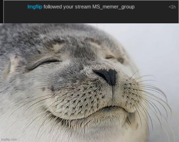Finally... They follows us! | image tagged in memes,satisfied seal | made w/ Imgflip meme maker