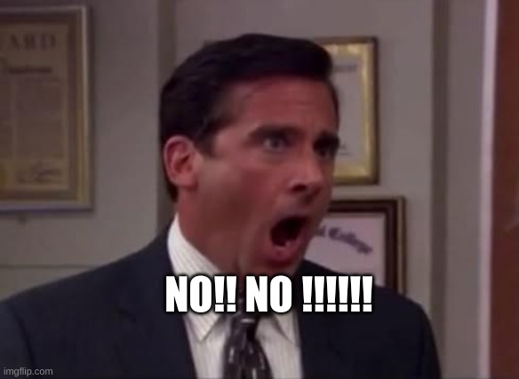 Michael Scott Aghast | NO!! NO !!!!!! | image tagged in michael scott aghast | made w/ Imgflip meme maker