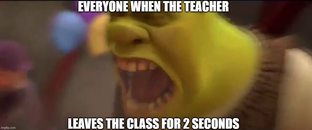 everytime | EVERYONE WHEN THE TEACHER; LEAVES THE CLASS FOR 2 SECONDS | image tagged in shrek screaming | made w/ Imgflip meme maker