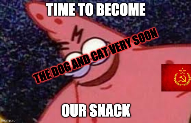 Patricks evil face | TIME TO BECOME OUR SNACK THE DOG AND CAT VERY SOON | image tagged in patricks evil face | made w/ Imgflip meme maker