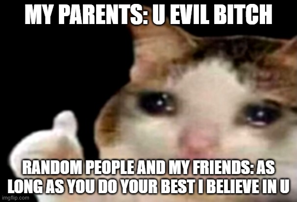 it is true | MY PARENTS: U EVIL BITCH; RANDOM PEOPLE AND MY FRIENDS: AS LONG AS YOU DO YOUR BEST I BELIEVE IN U | image tagged in sad cat thumbs up | made w/ Imgflip meme maker