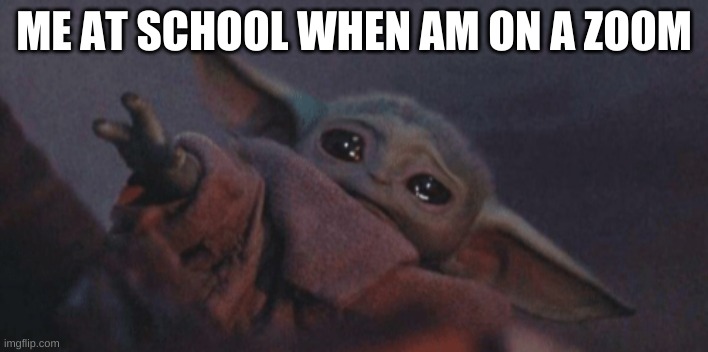 Baby yoda cry | ME AT SCHOOL WHEN AM ON A ZOOM | image tagged in baby yoda cry | made w/ Imgflip meme maker