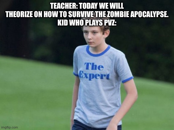 PvZ meme for you. | TEACHER: TODAY WE WILL THEORIZE ON HOW TO SURVIVE THE ZOMBIE APOCALYPSE.
KID WHO PLAYS PVZ: | image tagged in the expert | made w/ Imgflip meme maker