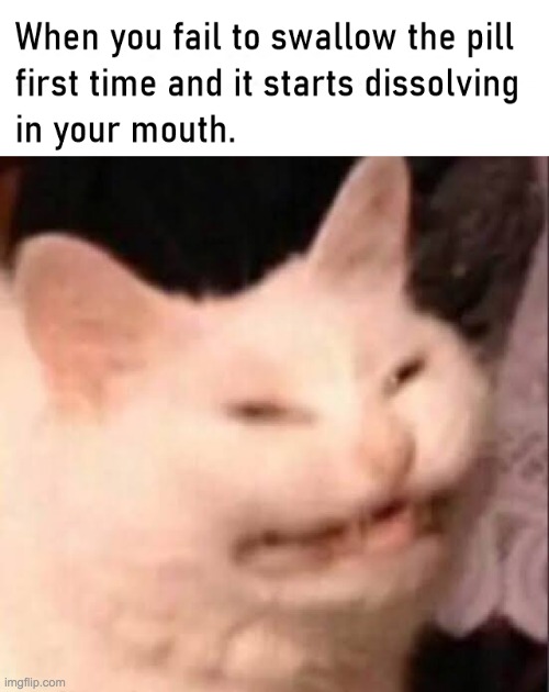 Pills... | image tagged in cats,hard to swallow pills,lol,upvote if you agree | made w/ Imgflip meme maker