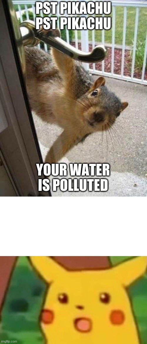 PST PIKACHU PST PIKACHU; YOUR WATER IS POLLUTED | image tagged in squirrel,memes,surprised pikachu | made w/ Imgflip meme maker