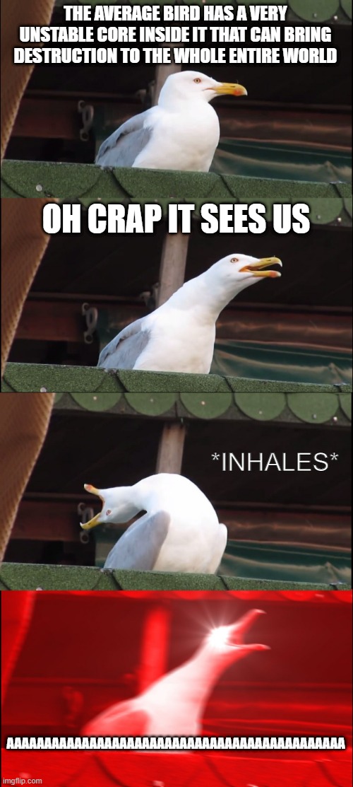 Inhaling Seagull Meme | THE AVERAGE BIRD HAS A VERY UNSTABLE CORE INSIDE IT THAT CAN BRING DESTRUCTION TO THE WHOLE ENTIRE WORLD; OH CRAP IT SEES US; *INHALES*; AAAAAAAAAAAAAAAAAAAAAAAAAAAAAAAAAAAAAAAAAAAAA | image tagged in memes,inhaling seagull | made w/ Imgflip meme maker