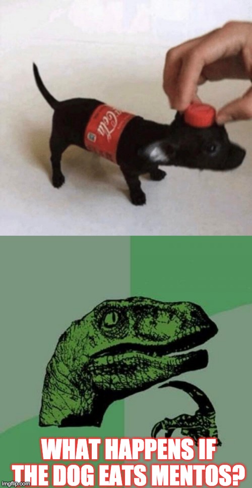 Doggy-do!!! | WHAT HAPPENS IF THE DOG EATS MENTOS? | image tagged in memes,philosoraptor | made w/ Imgflip meme maker