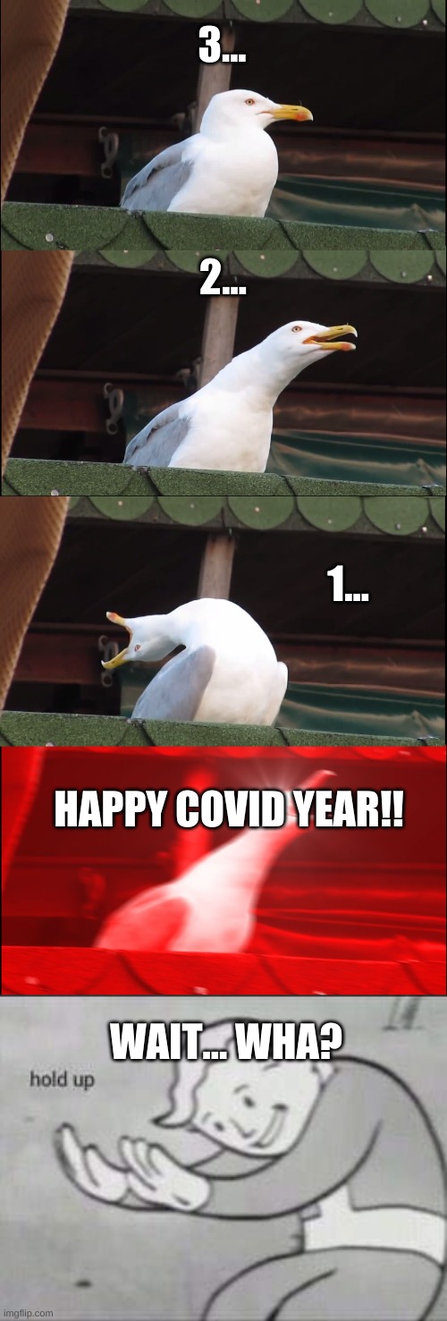 3... 2... 1... HAPPY COVID YEAR!! WAIT... WHA? | image tagged in memes,inhaling seagull,fallout hold up | made w/ Imgflip meme maker