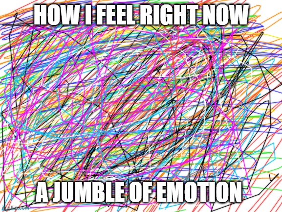 Blank White Template | HOW I FEEL RIGHT NOW; A JUMBLE OF EMOTION | image tagged in blank white template | made w/ Imgflip meme maker