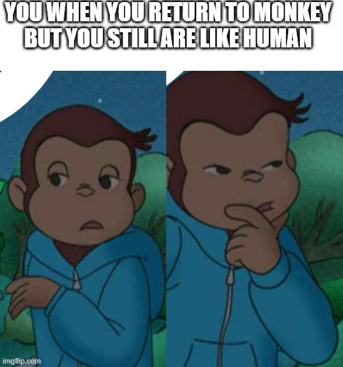 monke | YOU WHEN YOU RETURN TO MONKEY BUT YOU STILL ARE LIKE HUMAN | image tagged in monkey | made w/ Imgflip meme maker