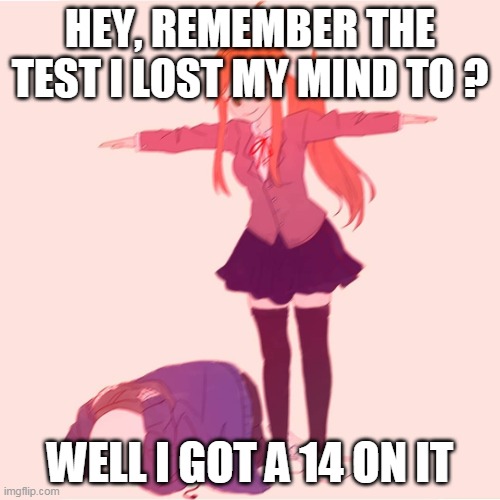 If someone actually remembers that | HEY, REMEMBER THE TEST I LOST MY MIND TO ? WELL I GOT A 14 ON IT | image tagged in monika t-posing on sans | made w/ Imgflip meme maker