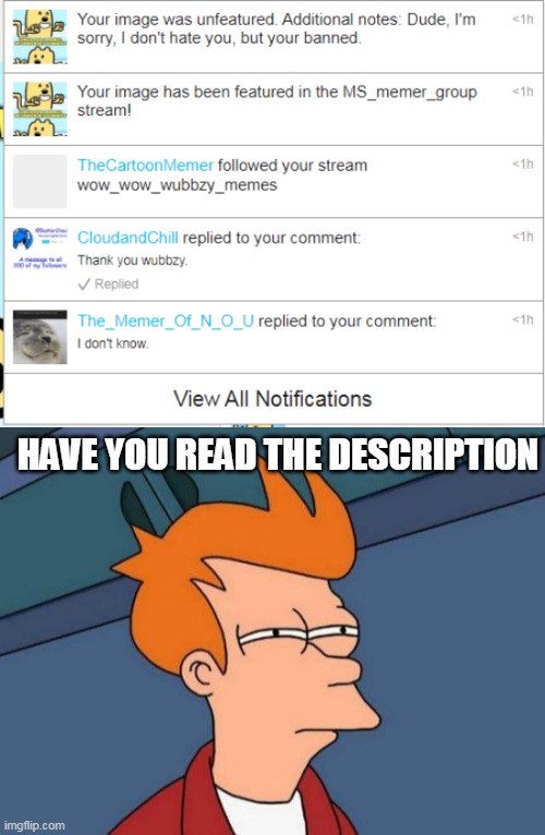 Who is this? Just say it I won't get mad if you say who you are | HAVE YOU READ THE DESCRIPTION | image tagged in memes,futurama fry,why | made w/ Imgflip meme maker