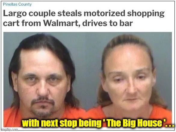 Sounded Like a Good Idea at the Time.... | with next stop being ' The Big House '. . . | image tagged in funny,lol,fun,dumb and dumber | made w/ Imgflip meme maker