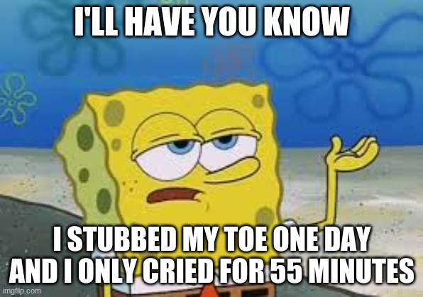 what is this even for??? | I'LL HAVE YOU KNOW; I STUBBED MY TOE ONE DAY AND I ONLY CRIED FOR 55 MINUTES | image tagged in i'll have you know spongebob,stupid | made w/ Imgflip meme maker