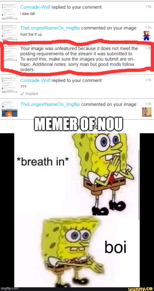 You or whoever did it ;-; | MEMER OF NOU | image tagged in spongebob boi,bruh | made w/ Imgflip meme maker