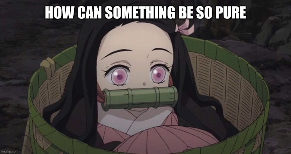 She’s so PURE | HOW CAN SOMETHING BE SO PURE | image tagged in demon slayer,memes | made w/ Imgflip meme maker