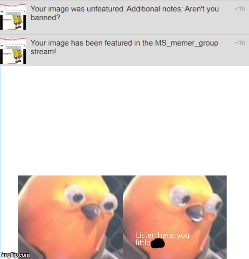 MEMER OF NOU, i'm not, also check the description | image tagged in listen here you little shit,bruh | made w/ Imgflip meme maker