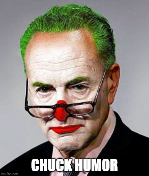 The Schumer shutdown  | CHUCK HUMOR | image tagged in the schumer shutdown | made w/ Imgflip meme maker