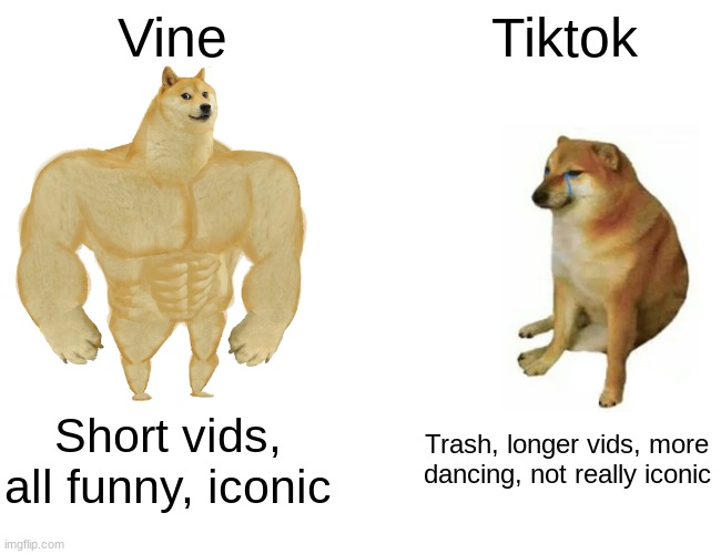 Vine is iconic | Vine; Tiktok; Short vids, all funny, iconic; Trash, longer vids, more dancing, not really iconic | image tagged in memes,buff doge vs cheems | made w/ Imgflip meme maker