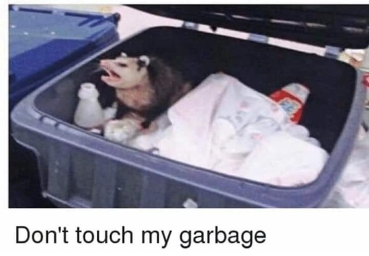 High Quality Don't touch my garbage Blank Meme Template