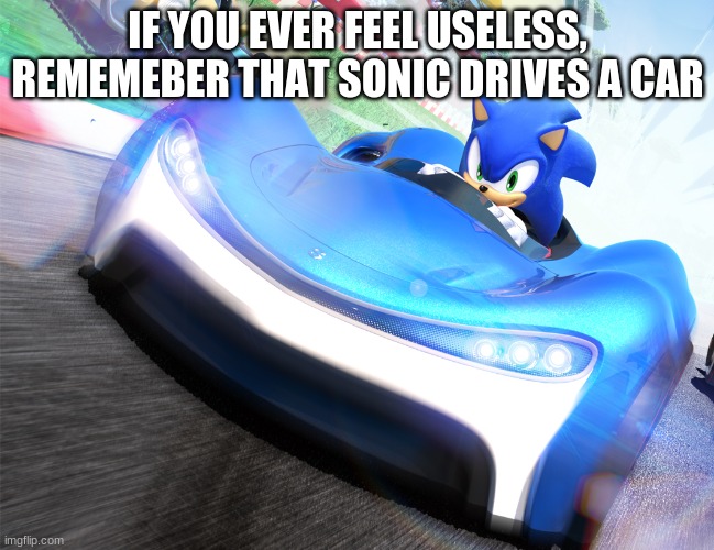 I was like, waaahhhh??? | IF YOU EVER FEEL USELESS, REMEMEBER THAT SONIC DRIVES A CAR | image tagged in memes,truth | made w/ Imgflip meme maker