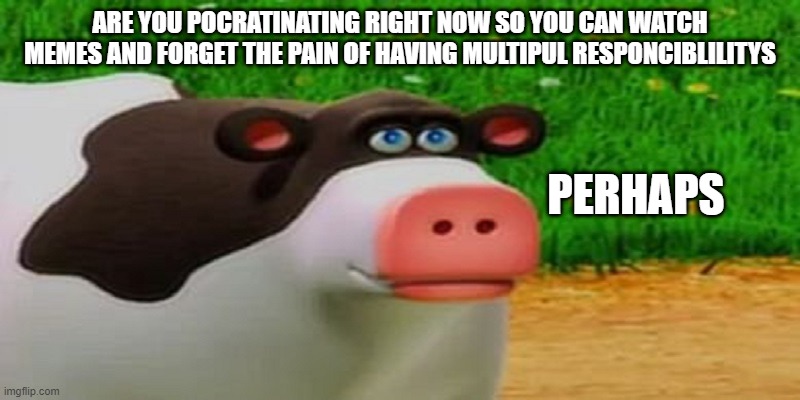 perhaps | ARE YOU POCRATINATING RIGHT NOW SO YOU CAN WATCH MEMES AND FORGET THE PAIN OF HAVING MULTIPUL RESPONCIBLILITYS; PERHAPS | image tagged in perhaps | made w/ Imgflip meme maker