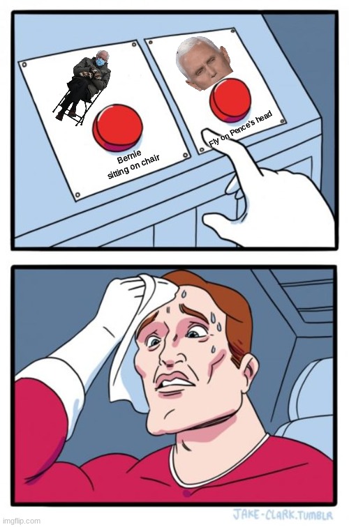 Tough choice O.o | Fly on Pence's head; Bernie sitting on chair | image tagged in memes,two buttons | made w/ Imgflip meme maker