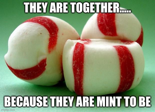 Mints | THEY ARE TOGETHER..... BECAUSE THEY ARE MINT TO BE | image tagged in mints | made w/ Imgflip meme maker