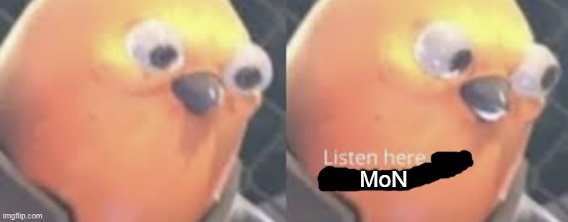 MoN grr | MoN | image tagged in listen here you little shit bird,grr | made w/ Imgflip meme maker