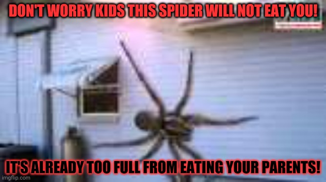 Spider noises intensify | DON'T WORRY KIDS THIS SPIDER WILL NOT EAT YOU! IT'S ALREADY TOO FULL FROM EATING YOUR PARENTS! | image tagged in giant spider,your,family,eaten,by a spider | made w/ Imgflip meme maker