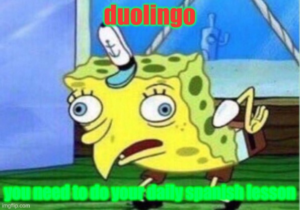 Mocking Spongebob Meme | duolingo; you need to do your daily spanish lesson | image tagged in memes,mocking spongebob | made w/ Imgflip meme maker